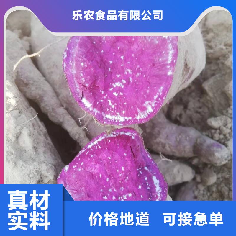 鲜食型紫薯苗市场报价