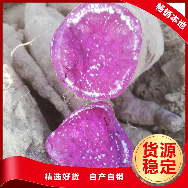 夏薯济黑2号苗子种植方法