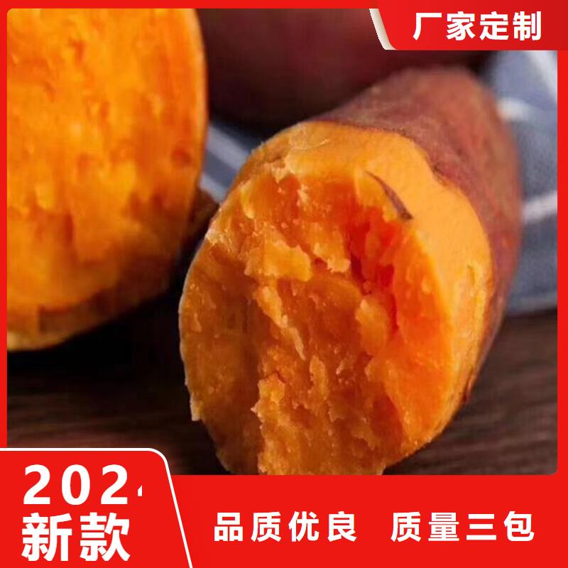 紫薯苗羽衣甘蓝粉一周内发货