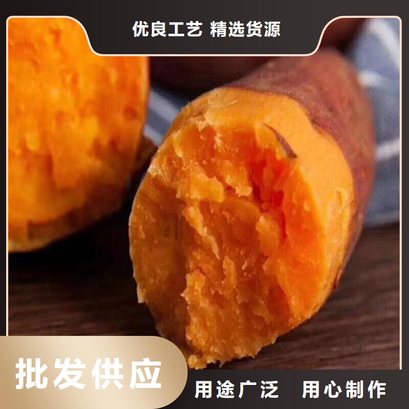 紫薯苗子报价