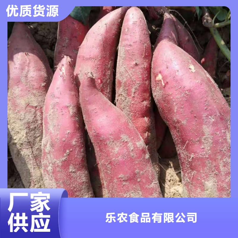 鲜食型紫薯苗多少钱一棵