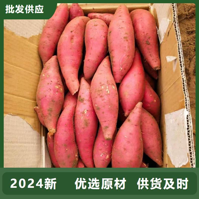 紫薯种子电话