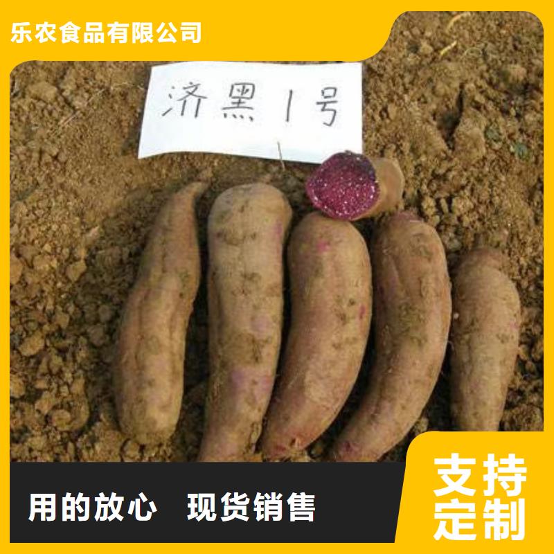 脱毒紫薯苗哪里有卖的