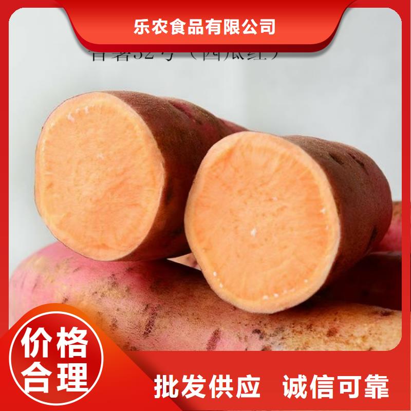 鲜食型紫薯苗厂家价格