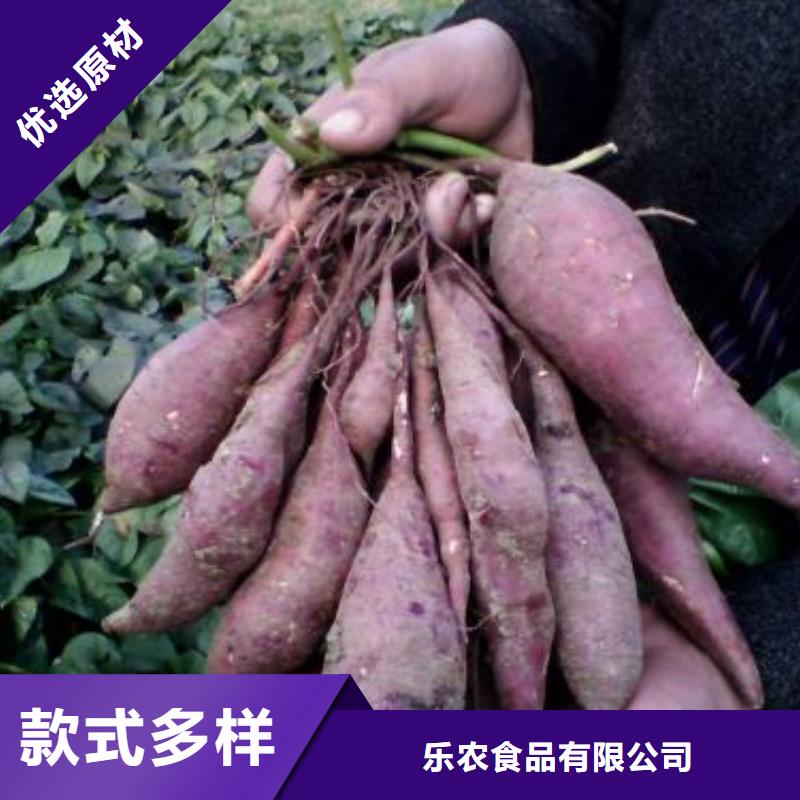 红薯苗（西瓜红）市场报价