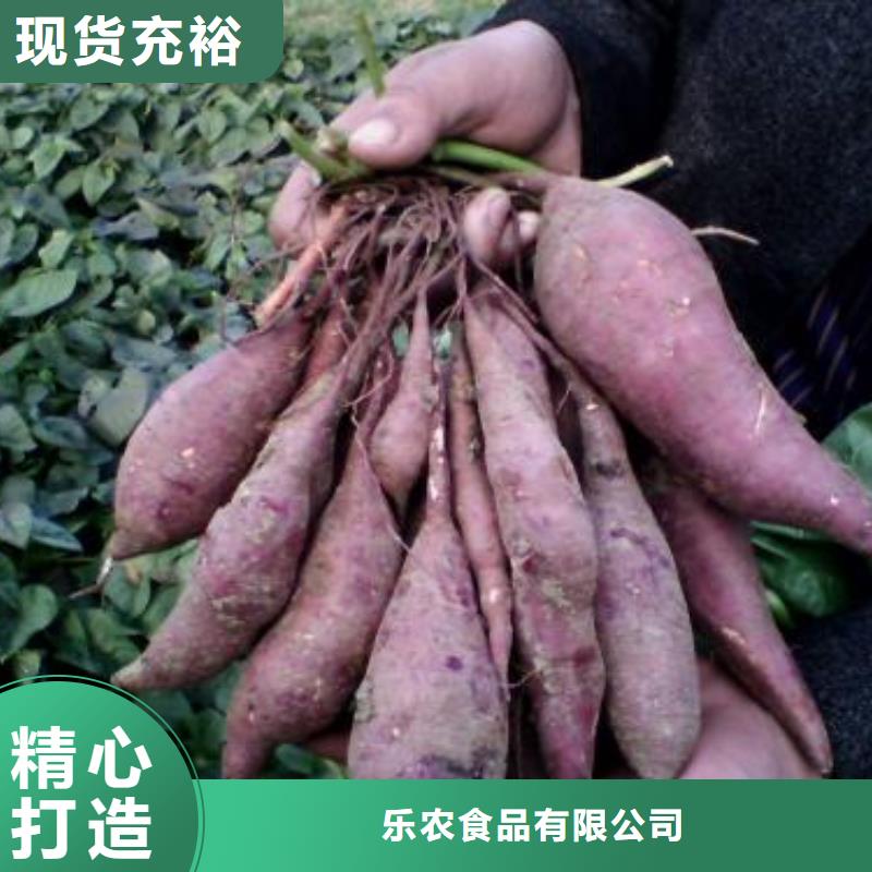 紫薯苗电话