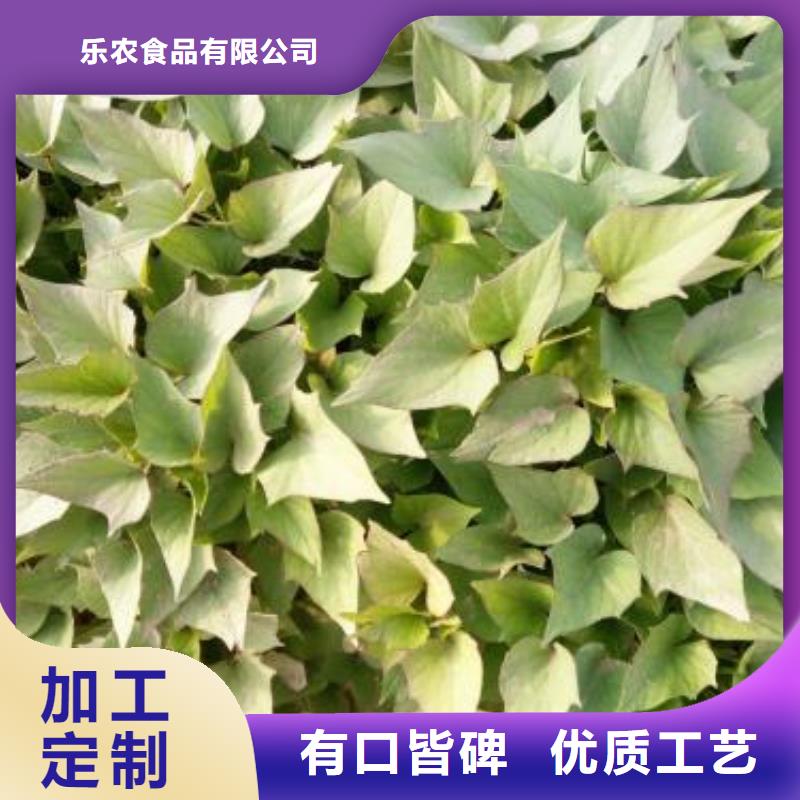 红薯苗（西瓜红）电话