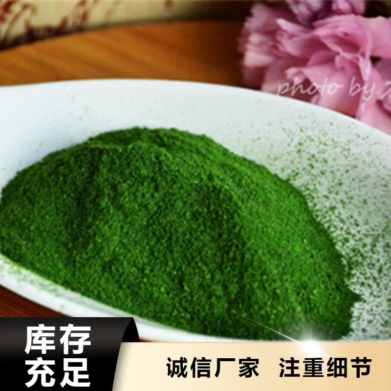 菠菜全粉价格公道