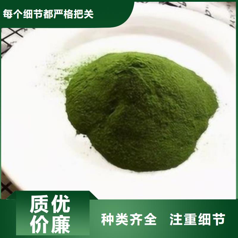 菠菜全粉量大从优
