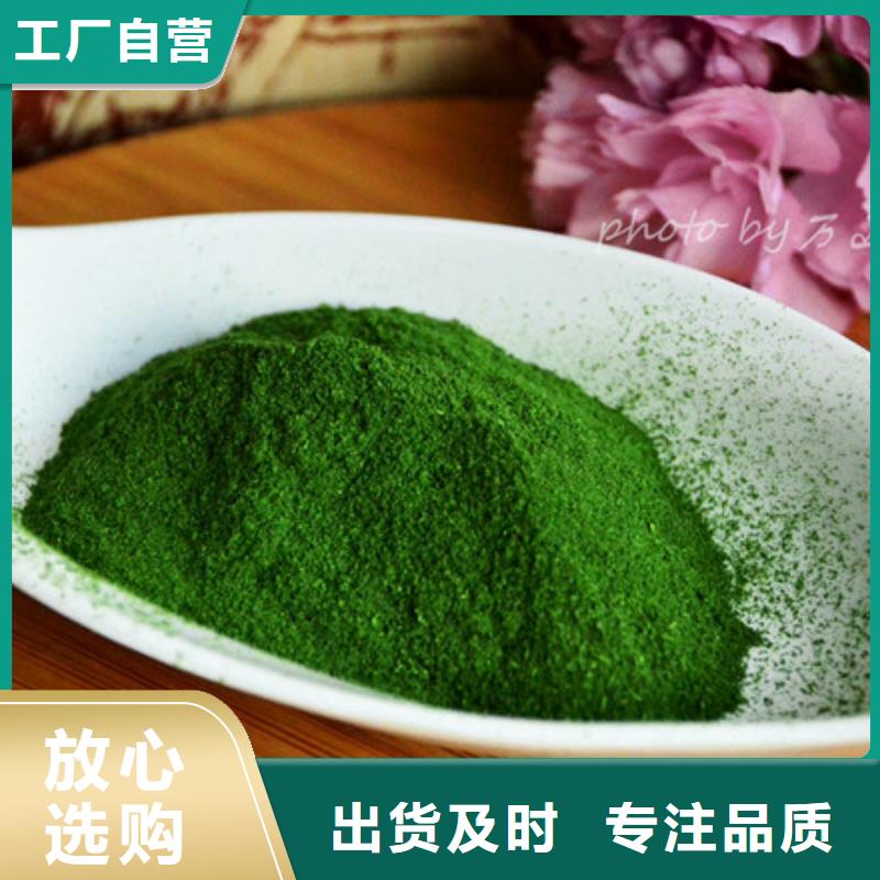 菠菜生粉种植基地