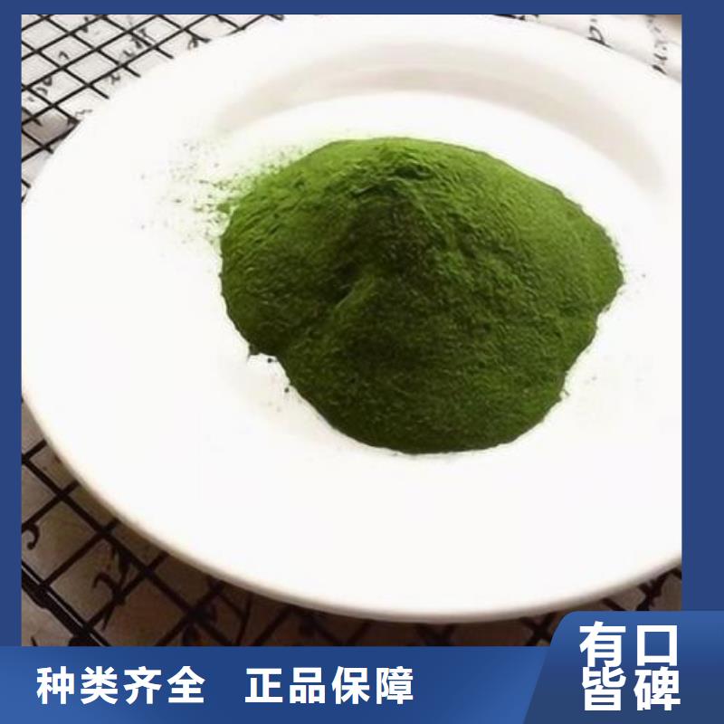 脱水菠菜粉为您介绍