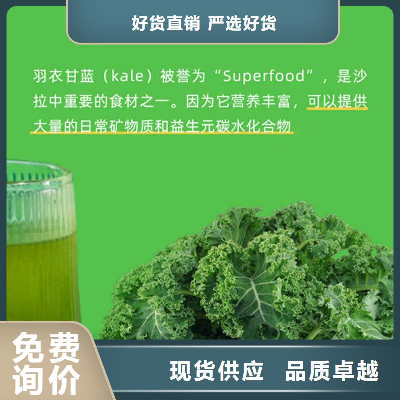脱水羽衣甘蓝库存充足