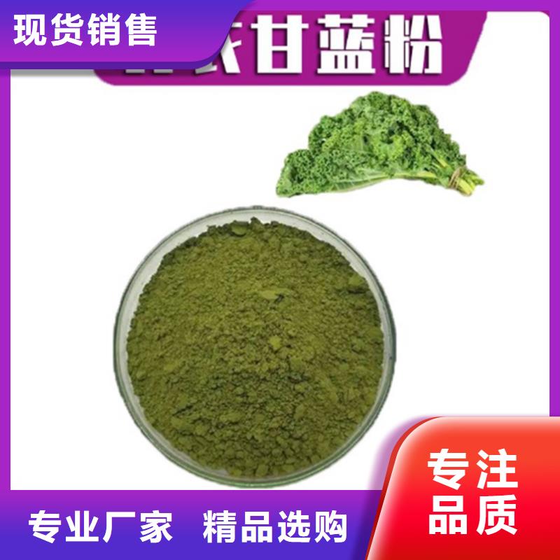 脱水羽衣甘蓝库存充足