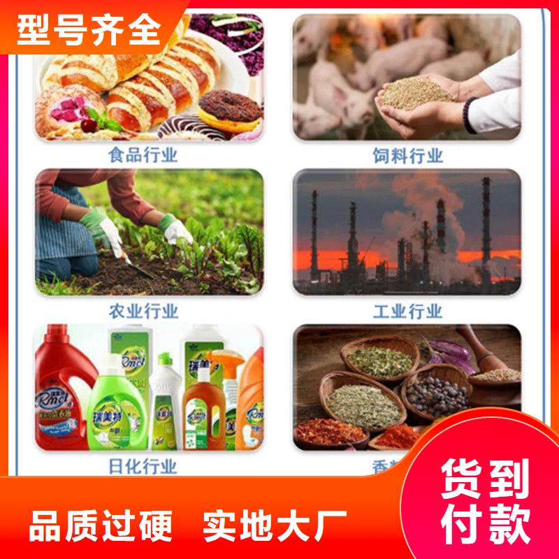 脱水羽衣甘蓝库存充足