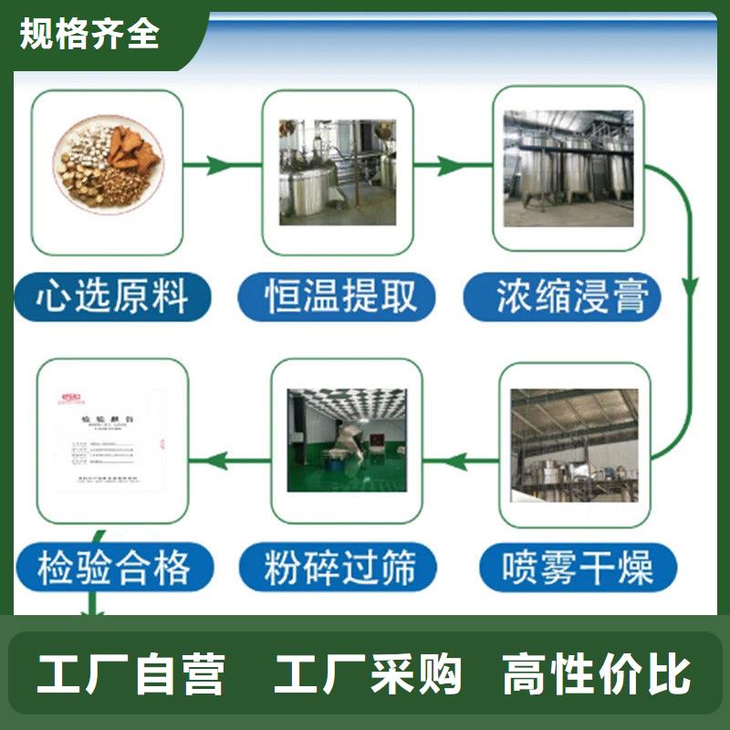 脱水羽衣甘蓝库存充足