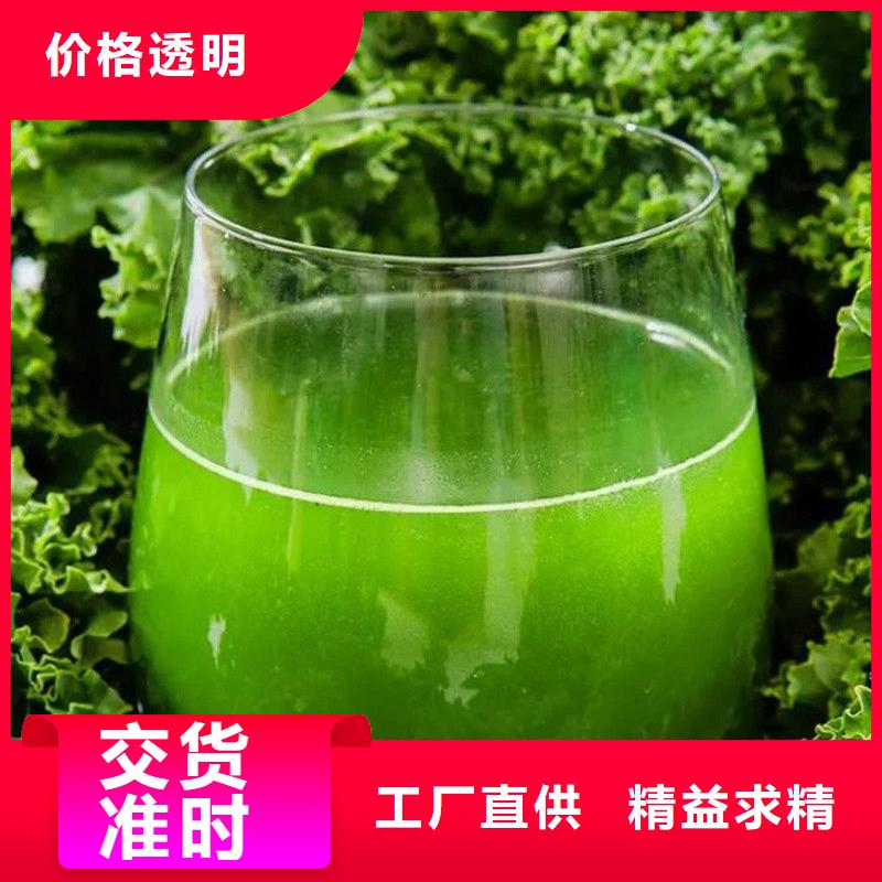 澄迈县脱水羽衣甘蓝欢迎电询