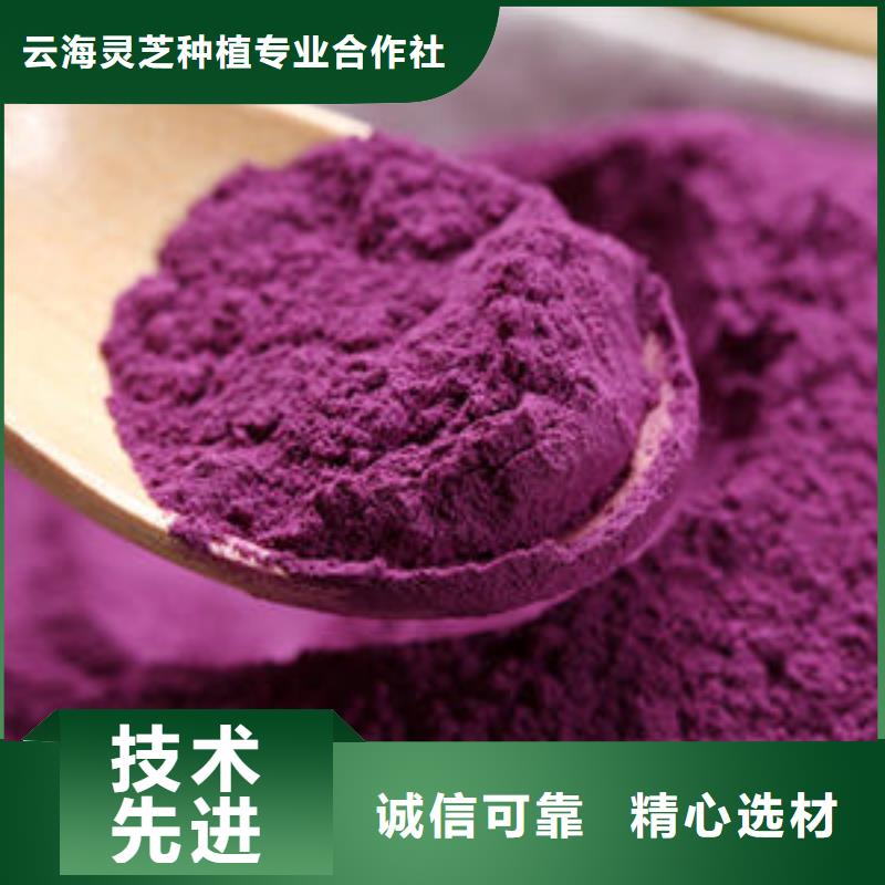 【紫薯粉灵芝破壁孢子粉正规厂家】