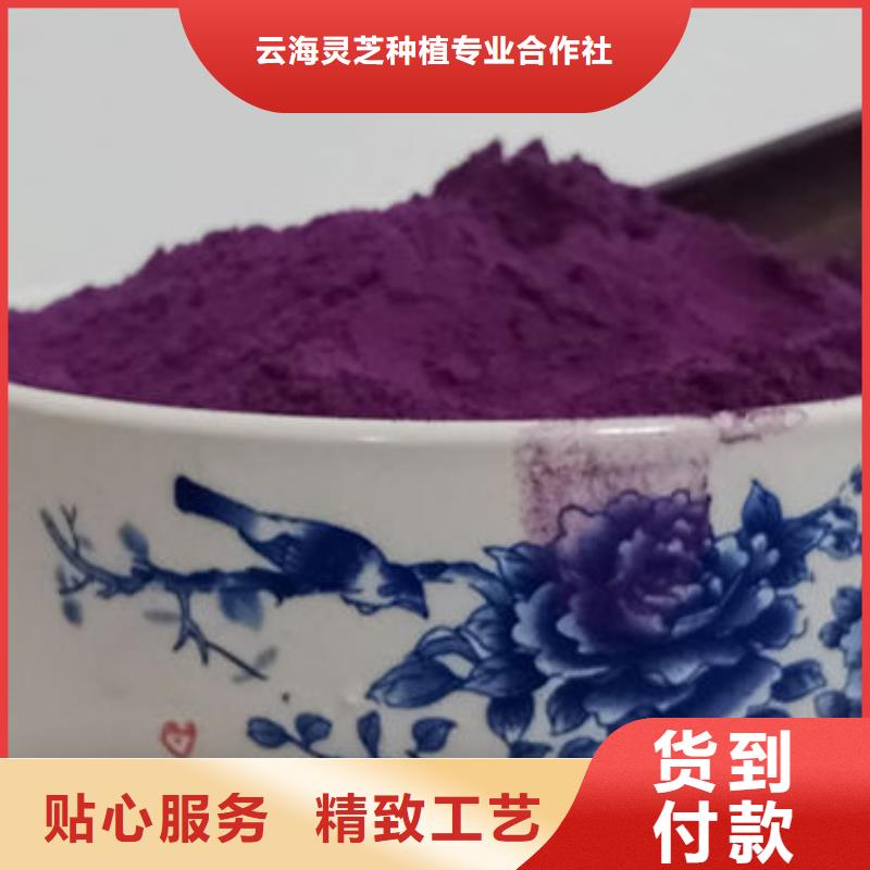 【紫薯粉灵芝破壁孢子粉正规厂家】