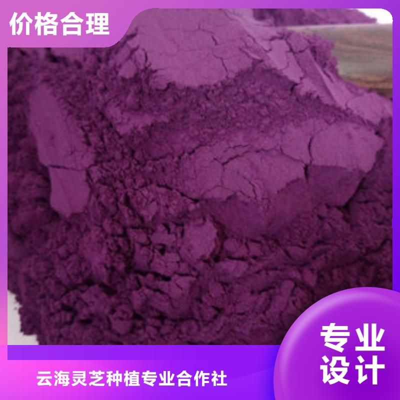 山东省紫红薯粉厂家