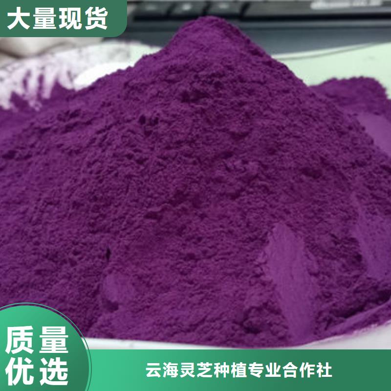 【紫薯粉灵芝盆景厂家直销】