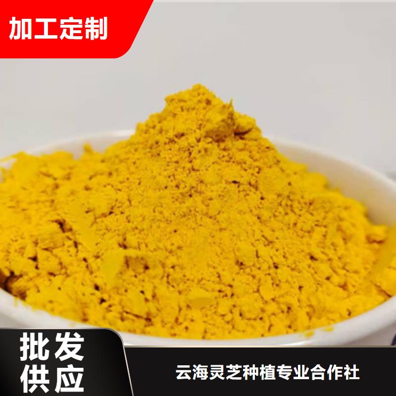 南瓜粉_灵芝性价比高