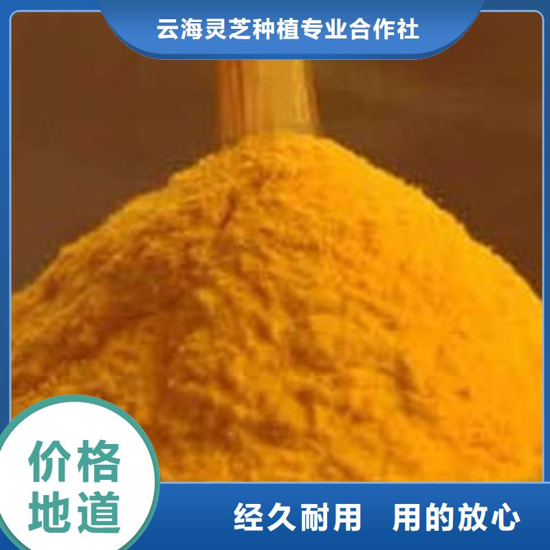 南瓜粉灵芝孢子粉放心购