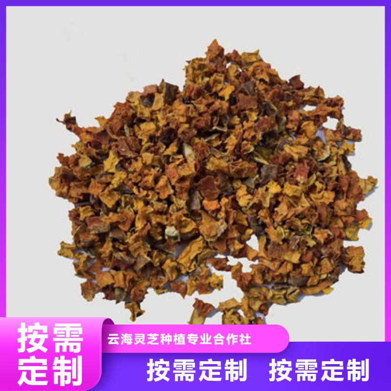 【南瓜丁灵芝孢子粉优良工艺】