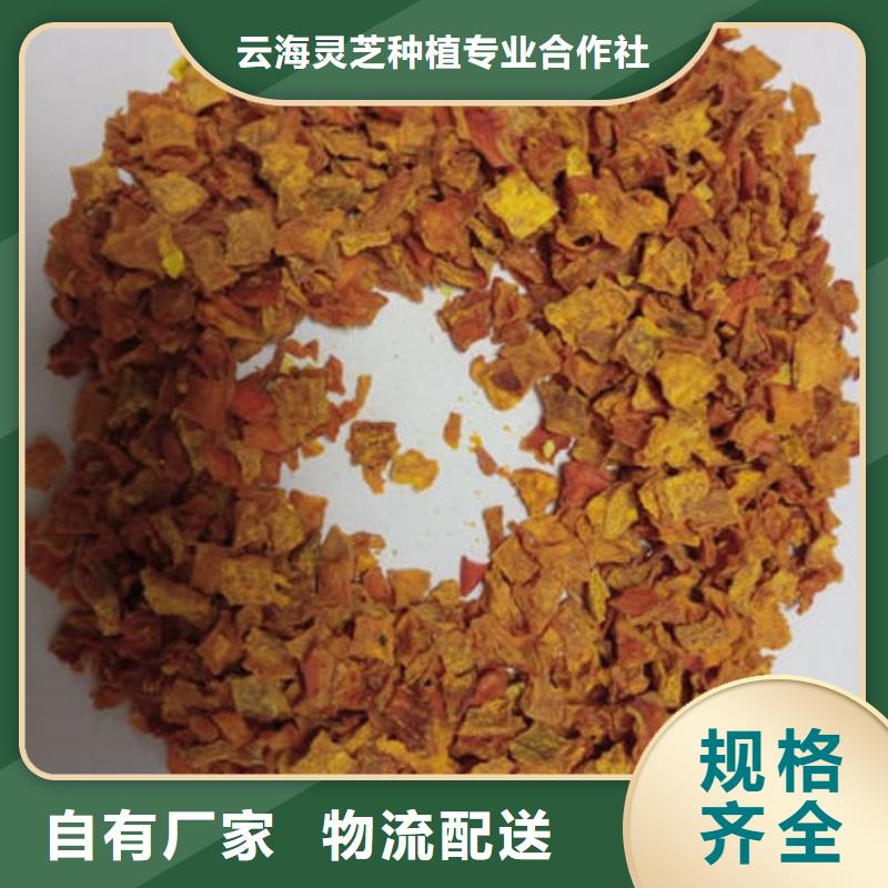 南瓜丁【灵芝孢子粉】拒绝伪劣产品