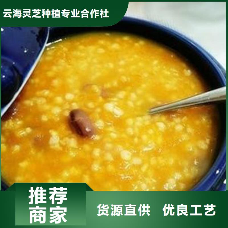 南瓜丁【灵芝孢子粉】优质原料