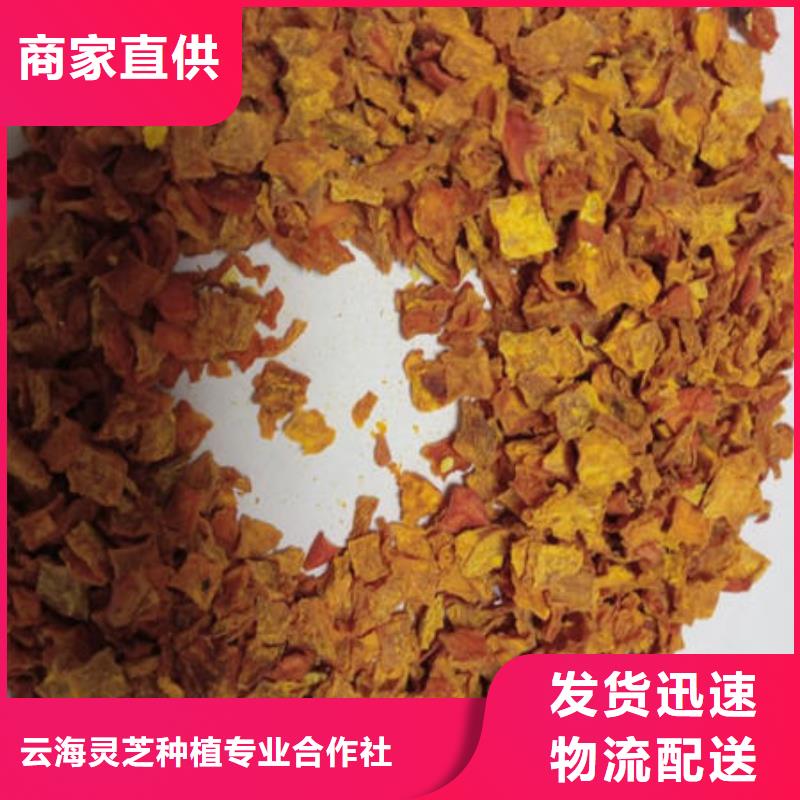 南瓜丁【灵芝孢子粉】优质原料
