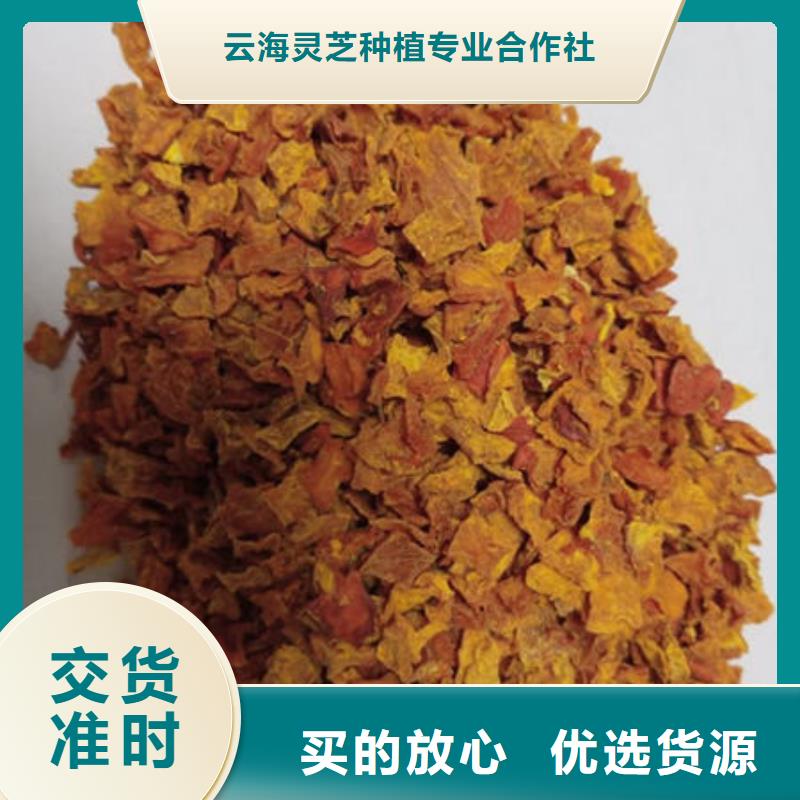 南瓜丁灵芝出货快