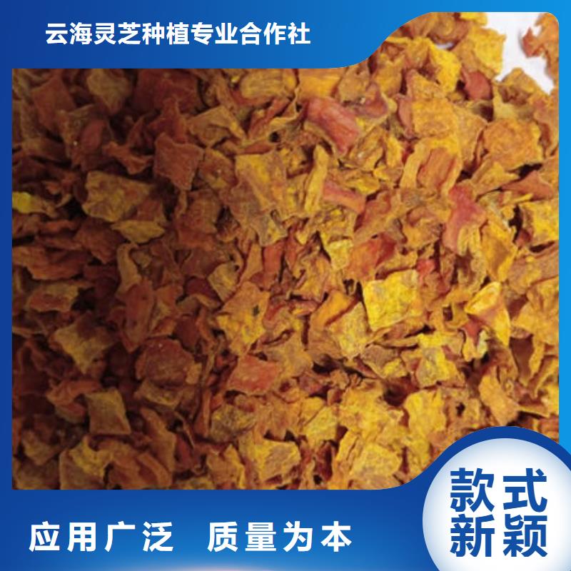 南瓜丁【灵芝孢子粉】优质原料