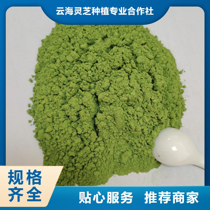 菠菜粉灵芝盆景源头工厂量大优惠