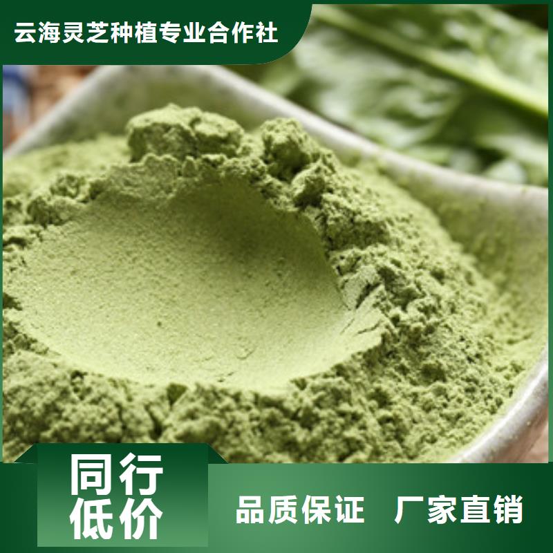 菠菜粉有机孢子粉实地大厂