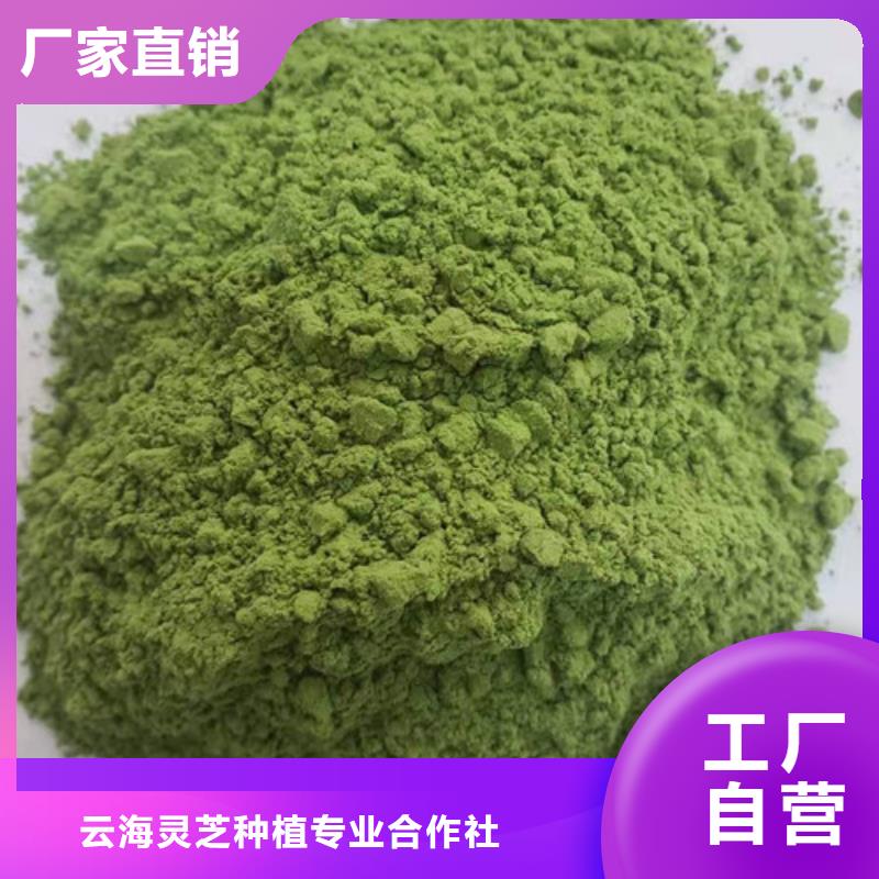 菠菜粉灵芝盆景源头工厂量大优惠
