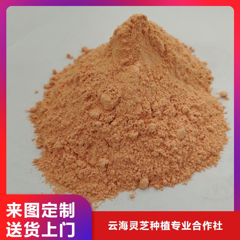 胡萝卜粉灵芝孢子粉出厂严格质检