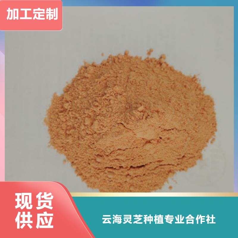 胡萝卜粉,灵芝直销厂家