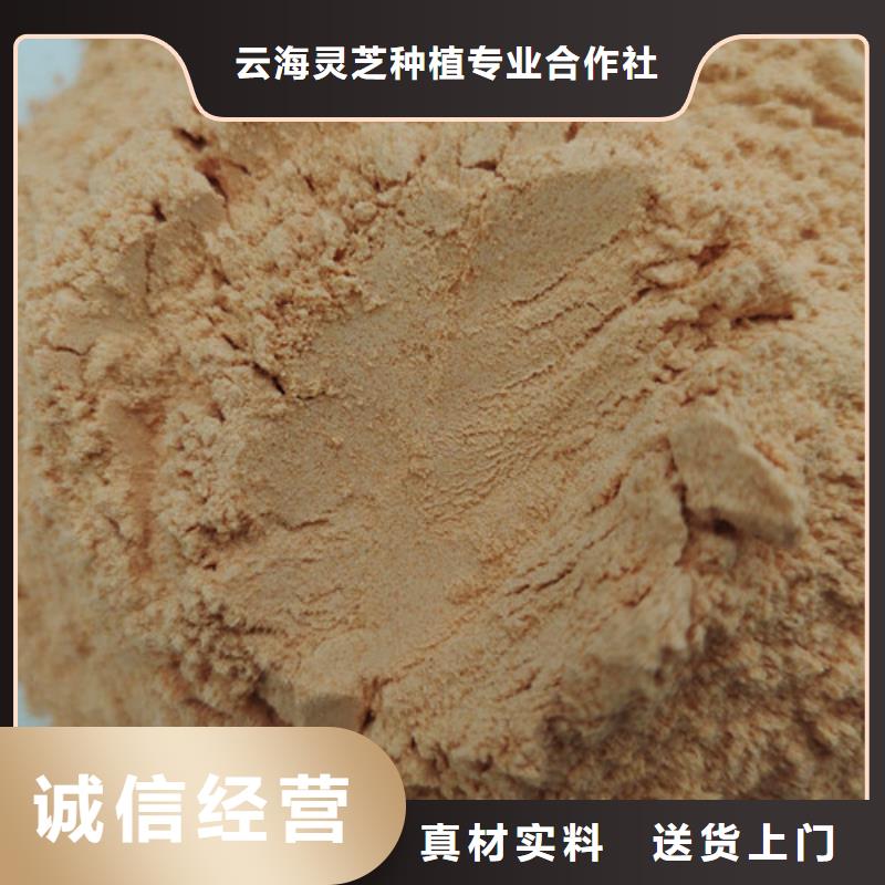 胡萝卜粉灵芝盆景用品质说话