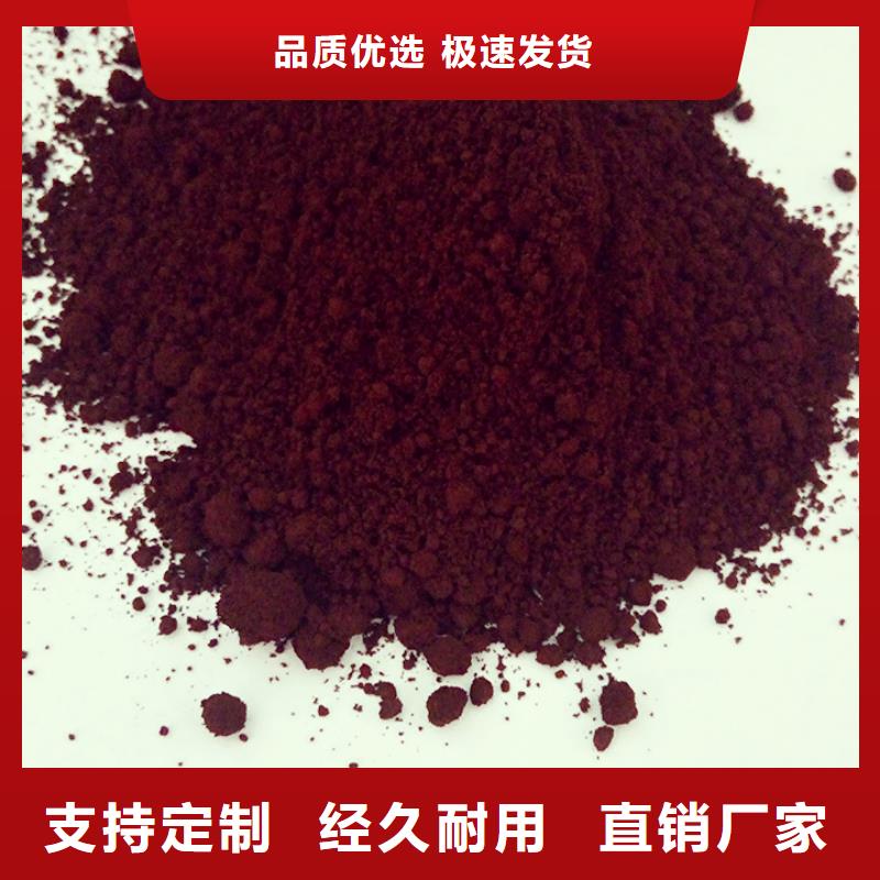 灵芝菌种厂家供应