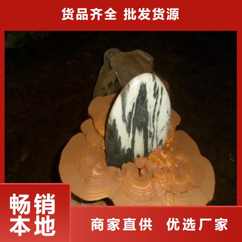 磐石瑞芝哪种好