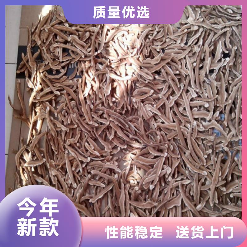 孢子灵芝生产经验丰富