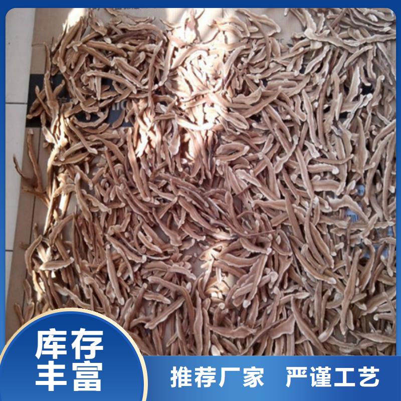 灵芝粉怎么保存
