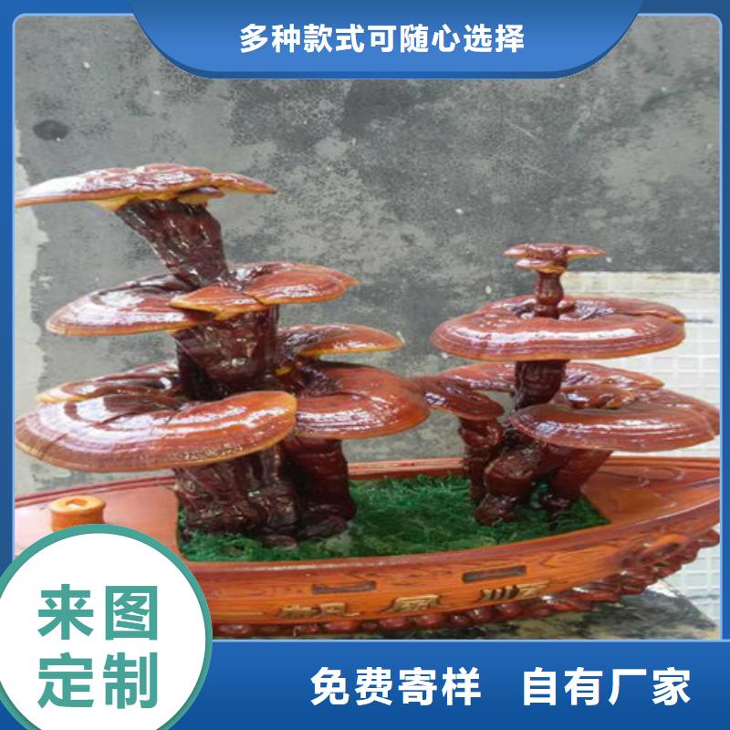 灵芝孢子粉吃的方法