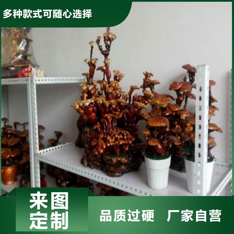 灵芝粉厂家批发