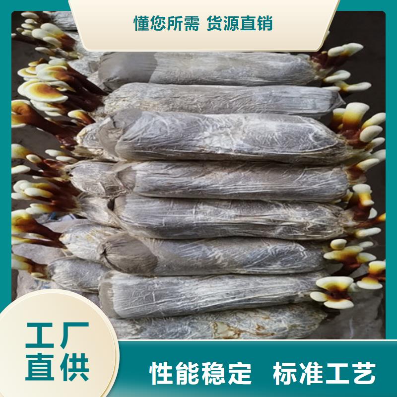 破壁灵芝孢子粉哪里有卖