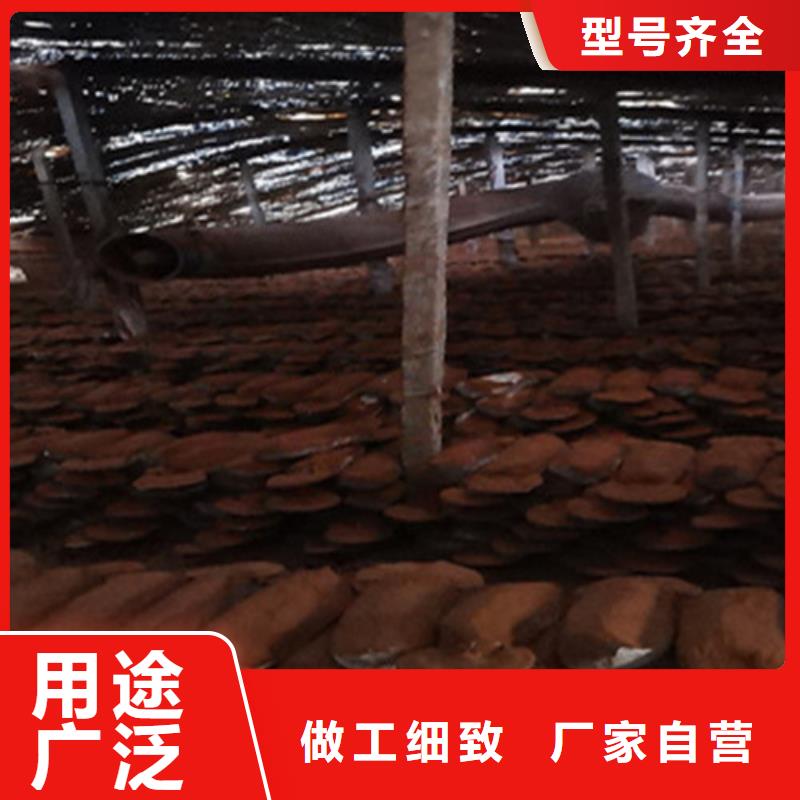 灵芝孢子粉吃的方法