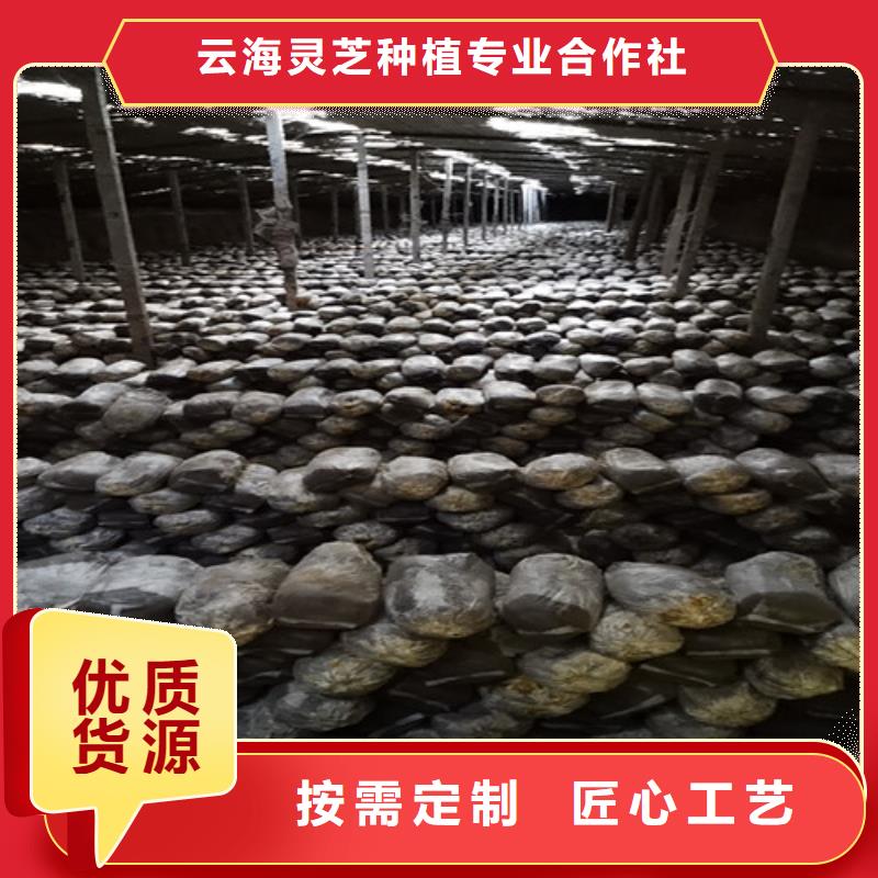 瑞芝厂家-点击领取样品