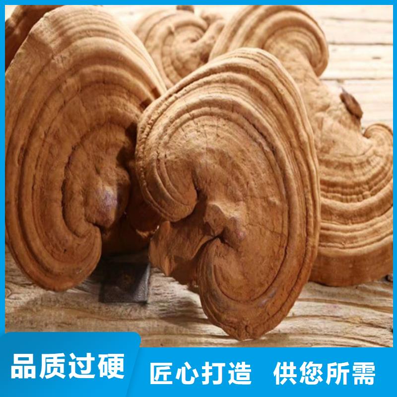 灵芝孢子粉厂家供应