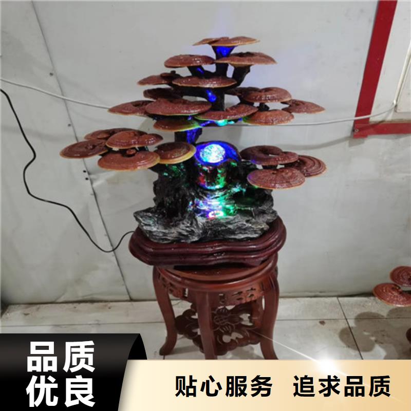 
灵芝超细粉-
灵芝超细粉一手货源
