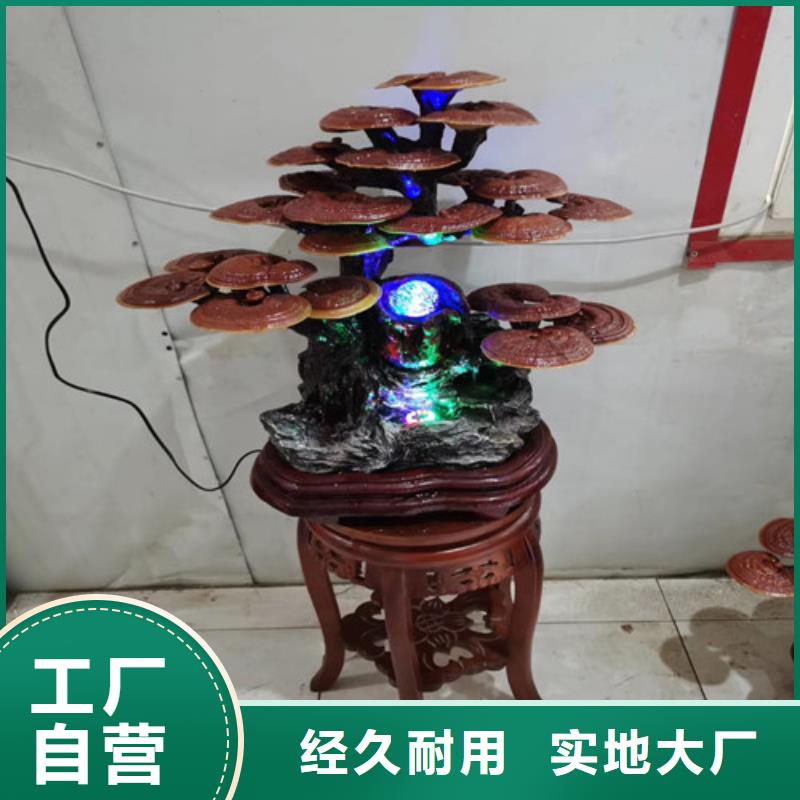 规格齐全的灵芝批发商